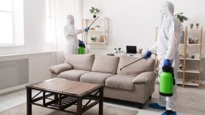 پنهان شدن آفات داخل مبلمان و وسایل پارچه ای