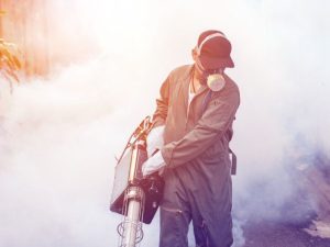 بهترین روش سمپاشی مگس ها