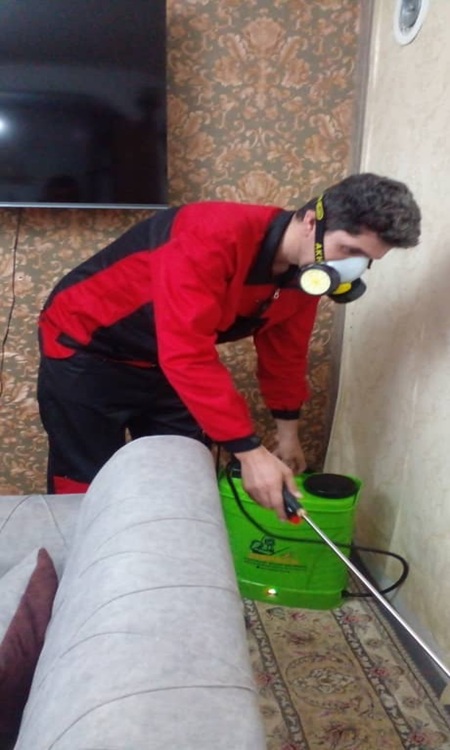 سمپاشی ساس در تهران و کرج