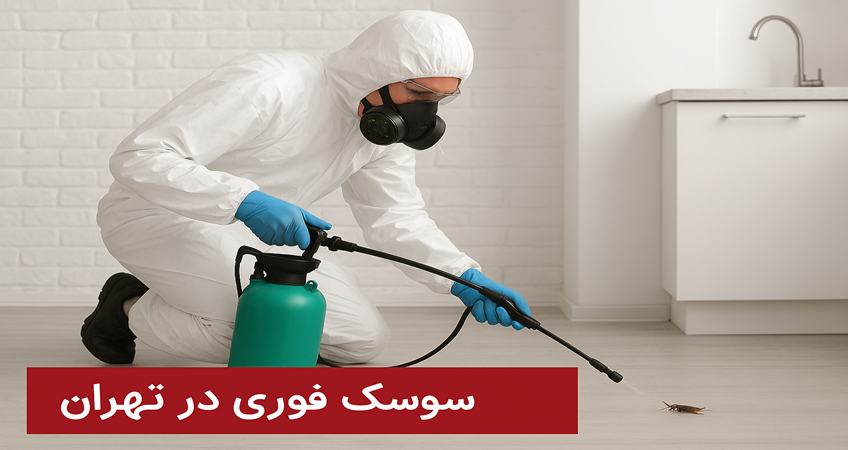سمپاشی فوری سوسک در تهران با زیسپاک