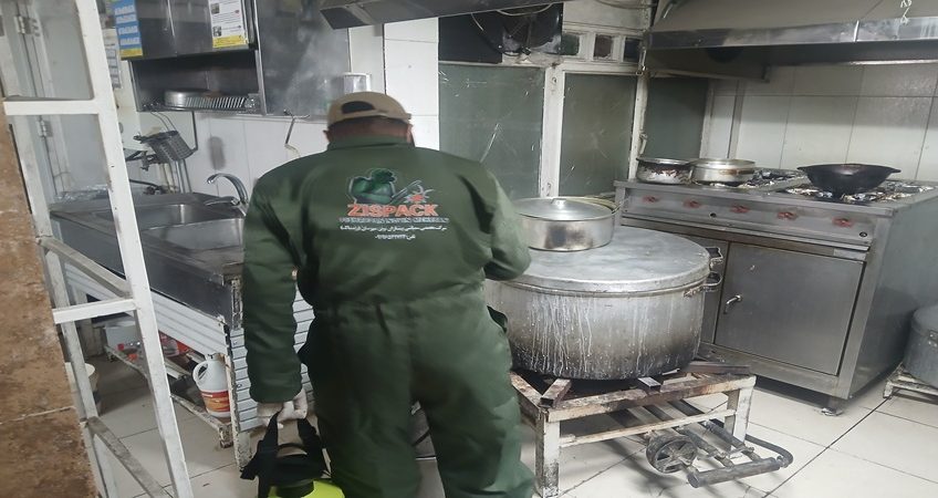 سمپاشی تخصصی سوسک ریز و درشت در رستوران