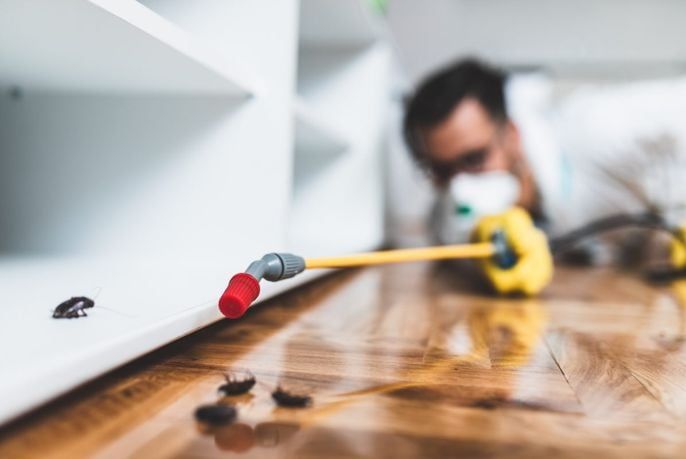 سمپاشی سوسک کابینتی