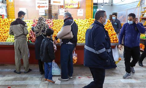 طمعه گذاری موش در میدان میوه تره بار