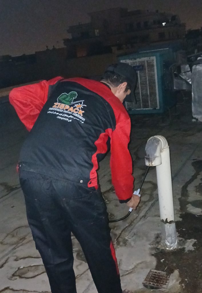 روش سمپاشی سوسک فاضلابی