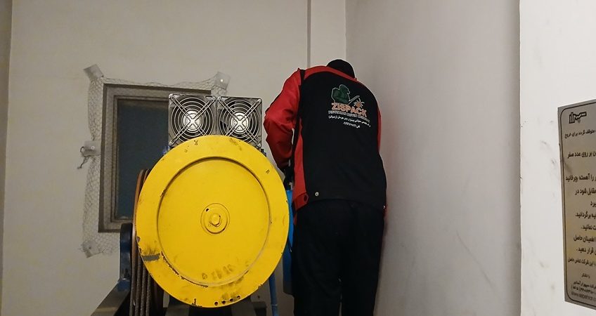 بهترین شرکت سمپاشی سوسک در تهران و کرج