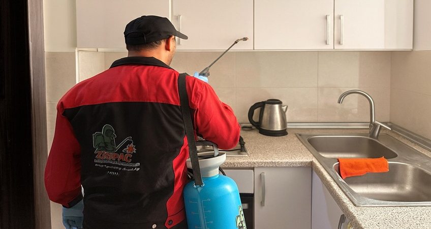 سمپاشی سوسک کابینت