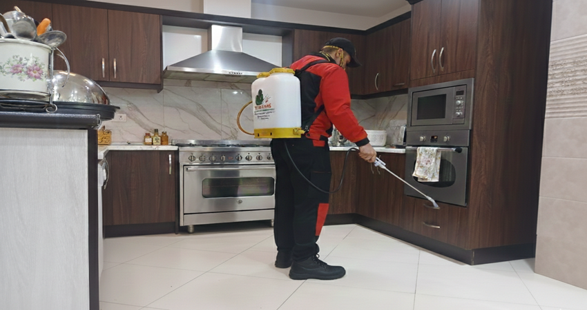 بهترین شرکت سمپاشی جنوب تهران
