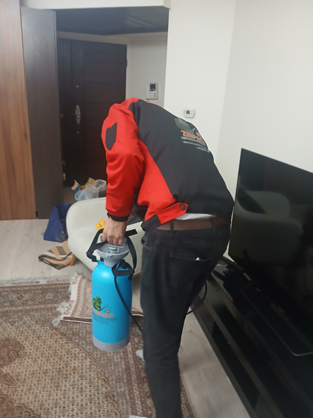 سمپاشی سوسک در جنوب تهران