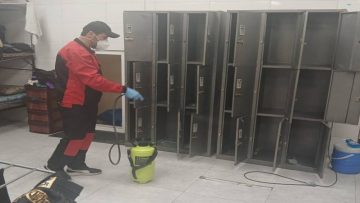 سمپاشی سوسک با مانگاری بالا و ضمانت کتبی